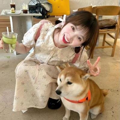 爱玩怪兽