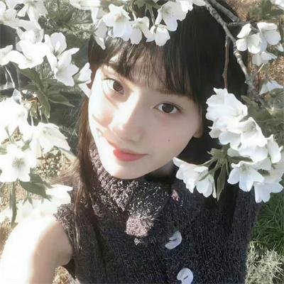 赤手青春
