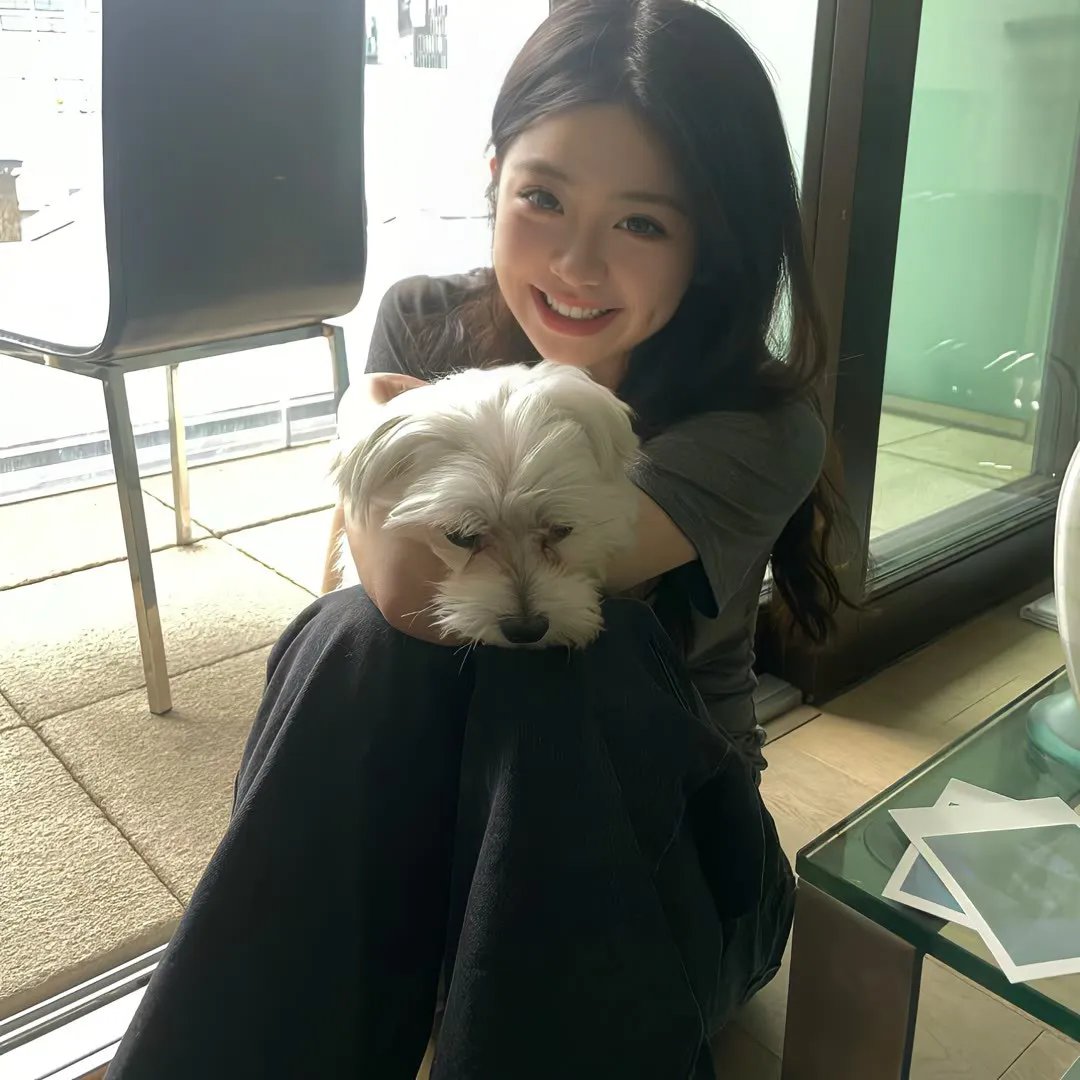 献鱼